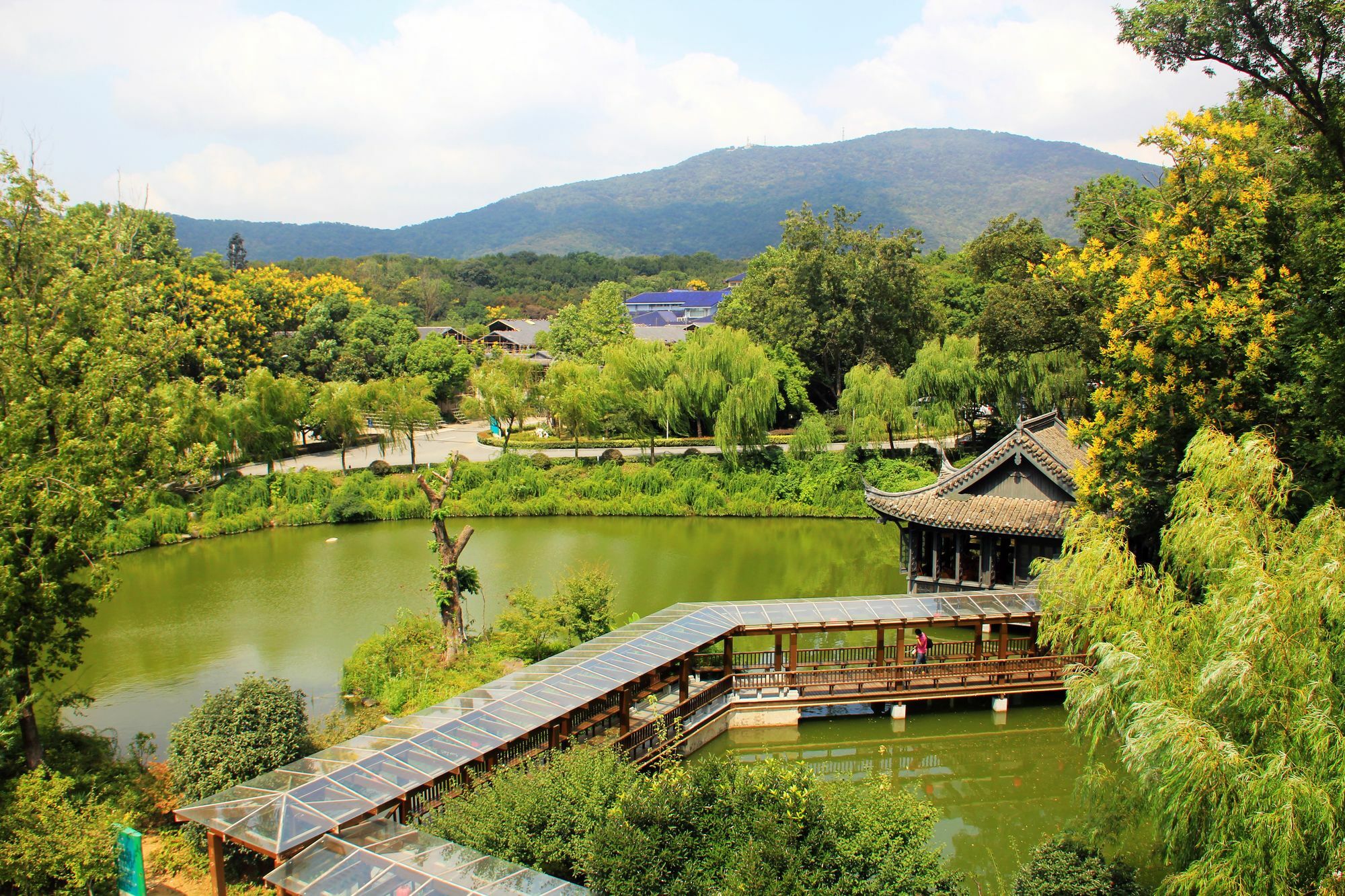 International Conference Hotel Of Nanjing Нанкін Екстер'єр фото